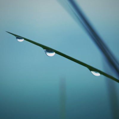 1920 x 1080 HD Wallpapers 152